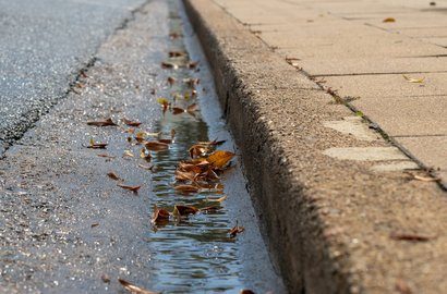 Gutter channel full of leaves